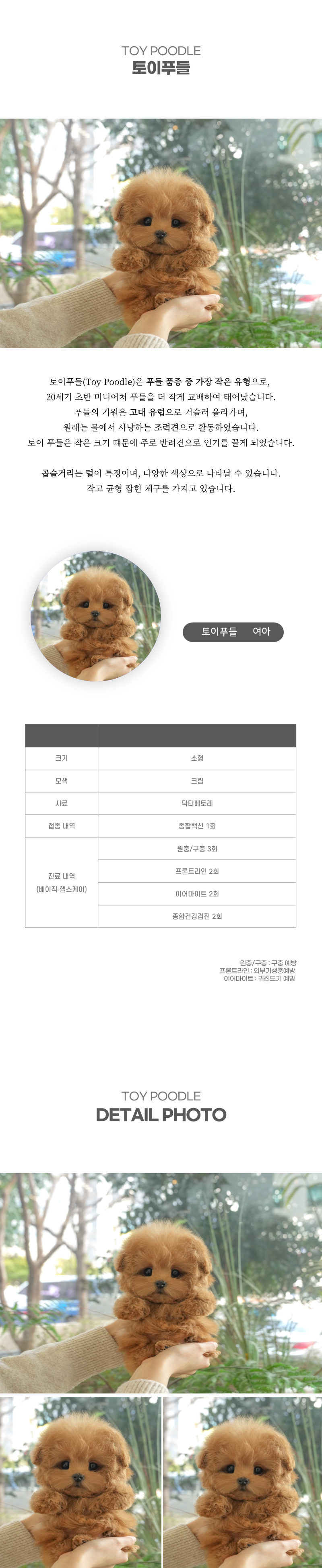 토이푸들_상세이미지_2